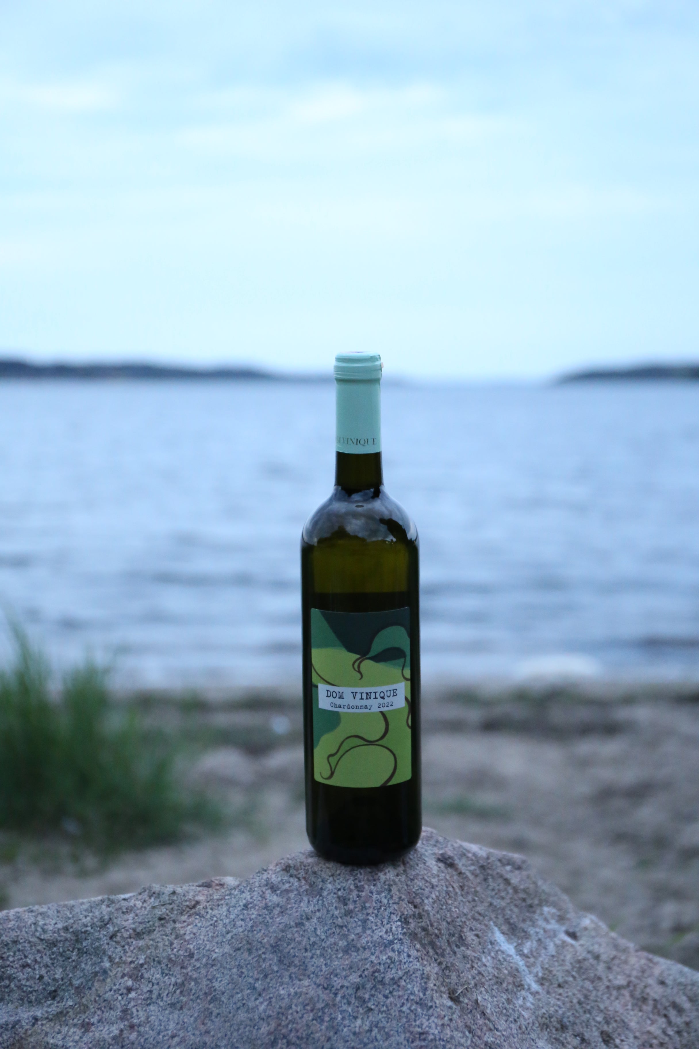 Chardonnay 2024
